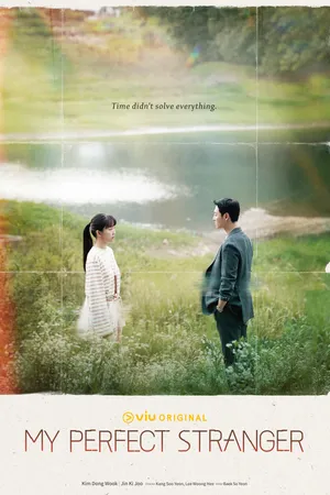 My Perfect Stranger Poster