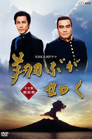 As If In Flight Poster