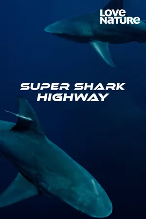 Super Shark Highway Poster