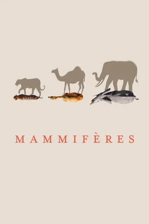 Mammals Poster