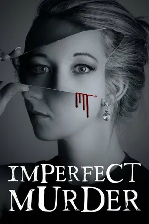 Imperfect Murder Poster