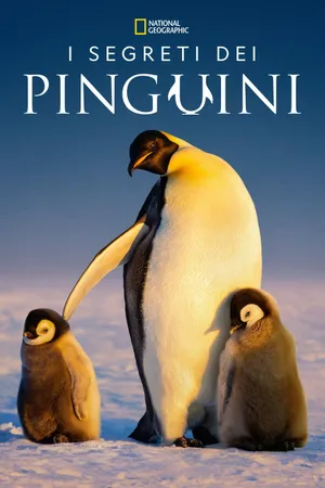 Secrets of the Penguins Poster