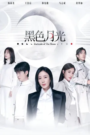 Darkside of the Moon Poster