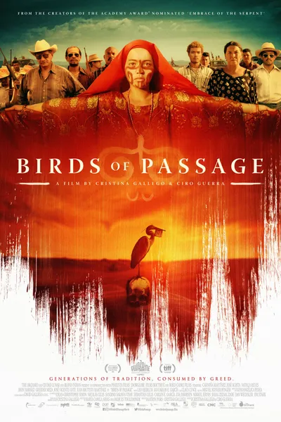 Birds of Passage