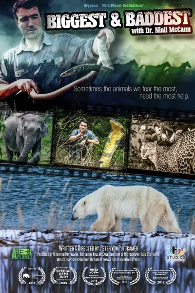 Biggest and Baddest 3