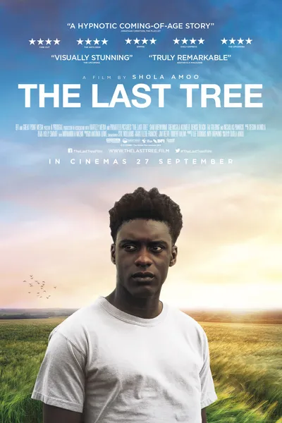 The Last Tree