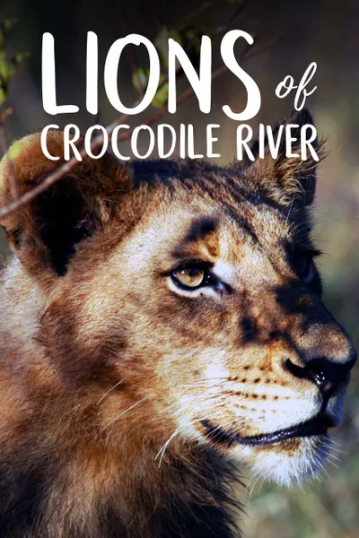 Lions of Crocodile River