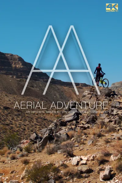 Aerial Adventure