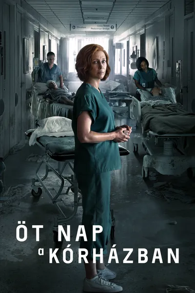 Five Days at Memorial