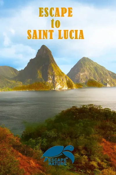 Escape to Saint Lucia