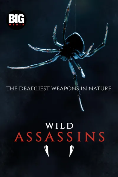 Wild Assassins